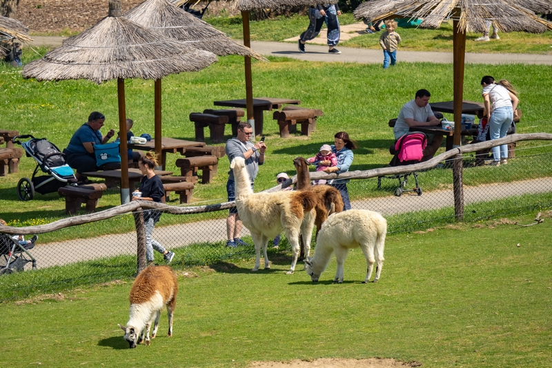 Farma Park Soběhrdy
